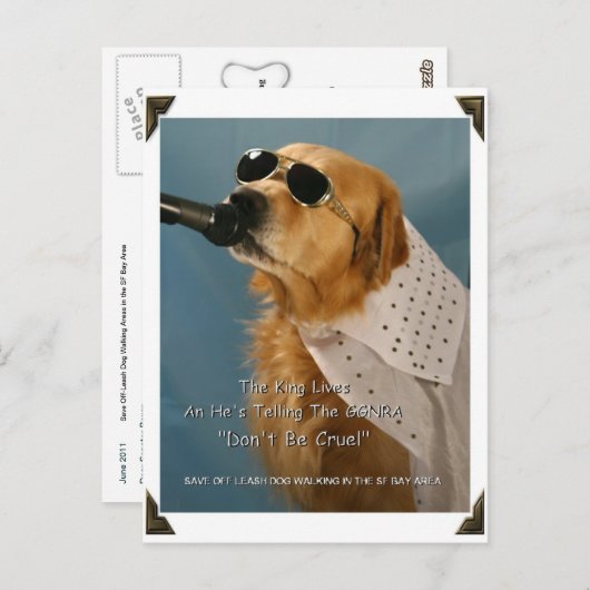 Opslaan van off-Leash Dog Walking Senator Boxer Briefkaart (Voorkant / Achterkant)