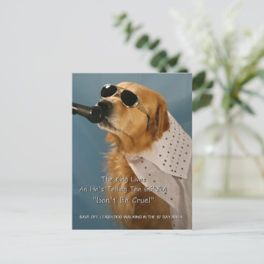 Opslaan van off-Leash Dog Walking Senator Boxer Briefkaart (Staand voorkant)