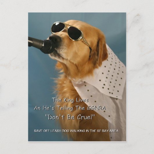 Opslaan van off-Leash Dog Walking Senator Boxer Briefkaart (Voorkant)