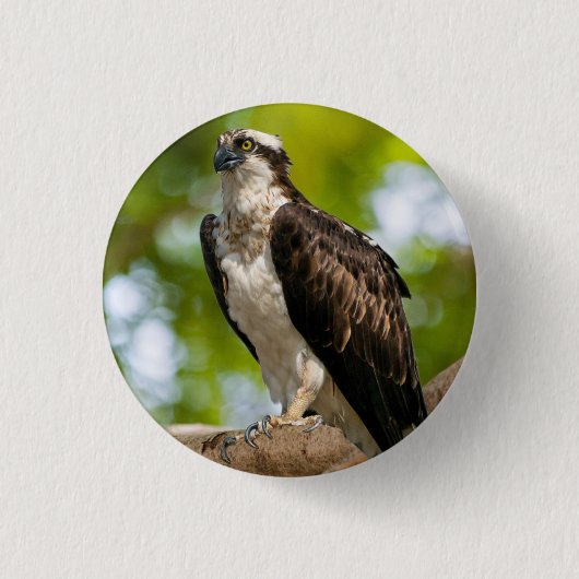 Opsrey in Colorado Ronde Button 3,2 Cm (Voorkant)