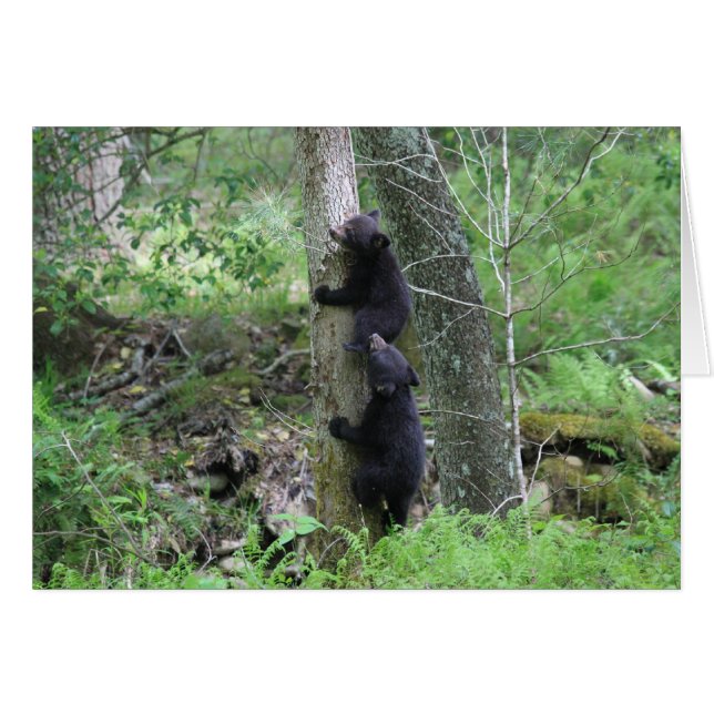 Opstaan (Voorkant Horizontaal)