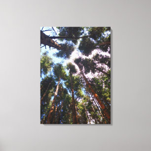 Opstaan Canvas Afdruk