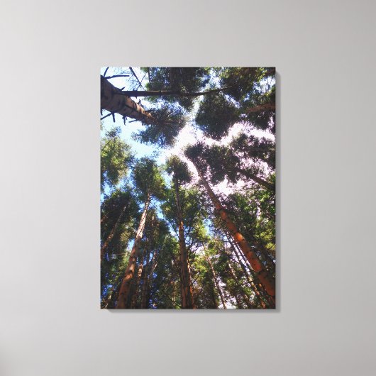 Opstaan Canvas Afdruk (Voorkant)