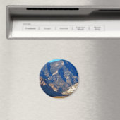 Opstaan uit de woestijn magneet (Insitu (Vaatwasser))