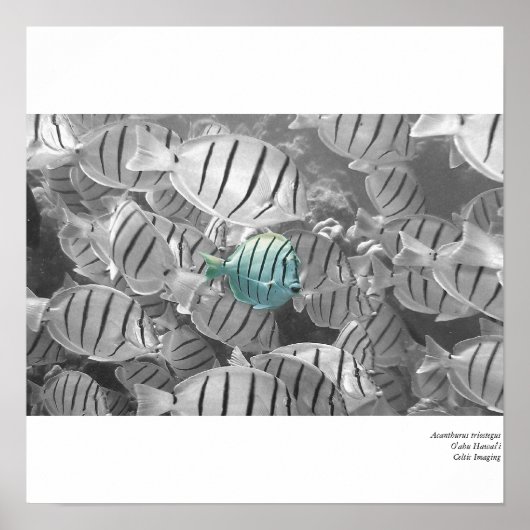 Opstaan van de menigte poster (Voorkant)