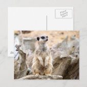 Opstaande kruid briefkaart (Voorkant / Achterkant)