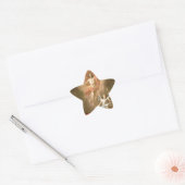 Opstanding van Christus Ster Sticker (Envelop)