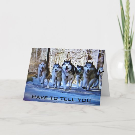 OPSTAPPEN EN SNEU VLUG KAART (Voorkant)