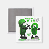 Opstarten met een GROTE MITO Knuffel Magneet (Voorkant / Achterkant)