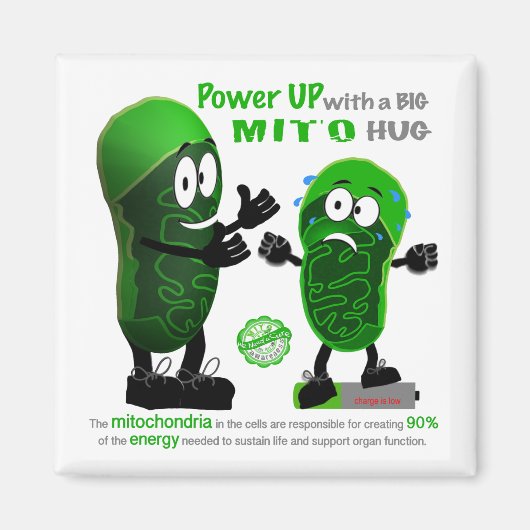 Opstarten met een GROTE MITO Knuffel Magneet (Voorkant)