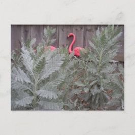 Opstelling in grijs en roze briefkaart