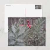 Opstelling in grijs en roze briefkaart (Voorkant / Achterkant)