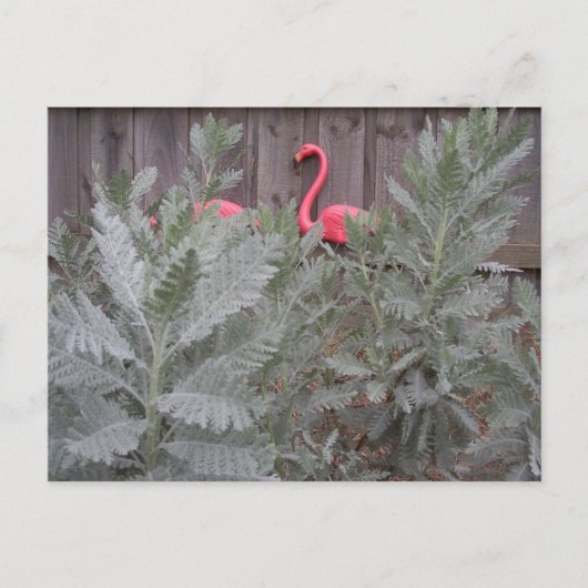 Opstelling in grijs en roze briefkaart (Voorkant)