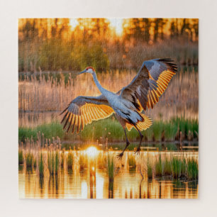 Opstijgen van Sandhill Crane Legpuzzel