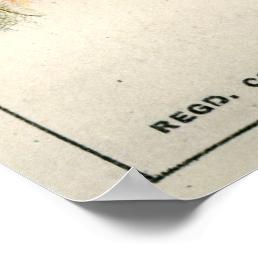 Optical illusion, 1896 poster (Hoek)