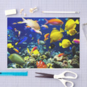 Opties voor 5-6 Afbeelding onder water Tissuepapier (Craft)