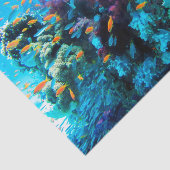 Opties voor onderwater 13-16 Afbeeldingen Tissuepapier (Detail)