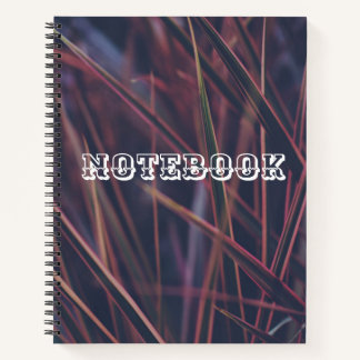 Optimisme benutten voor succes" notitieboek