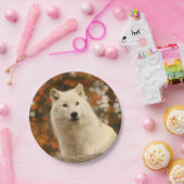 Optimisme Papieren Bordje (Feest)