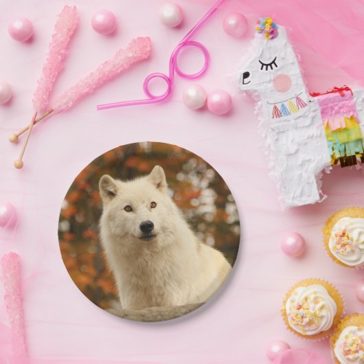 Optimisme Papieren Bordje (Feest)