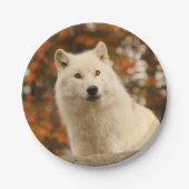 Optimisme Papieren Bordje (Voorkant)