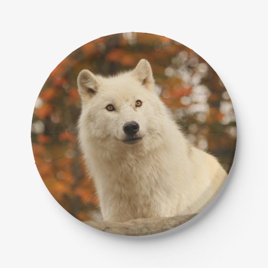 Optimisme Papieren Bordje (Voorkant)