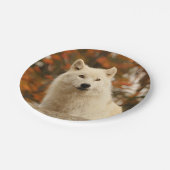 Optimisme Papieren Bordje (Gekanteld)