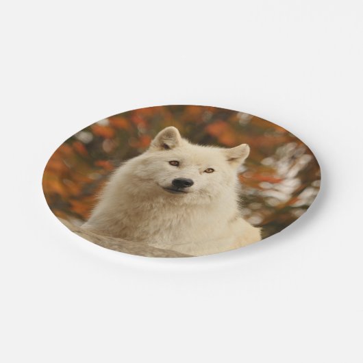 Optimisme Papieren Bordje (Gekanteld)