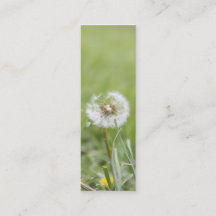 Optimisme Skinny Visitekaartje