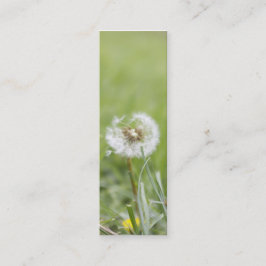 Optimisme Skinny Visitekaartje