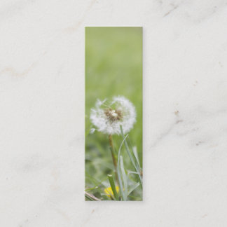 Optimisme Skinny Visitekaartje