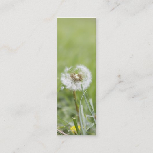 Optimisme Skinny Visitekaartje (Voorkant)