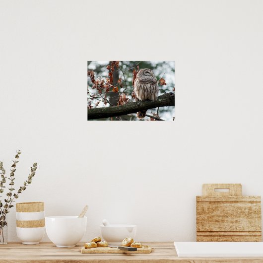 Optimistic Owl Poster (Keuken)