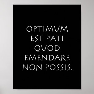 Optimum est pati quod emendare non posare poster