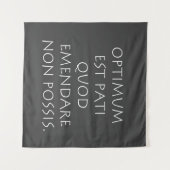 Optimum est pati quod emendare non posare wandkleed (Voorkant (horizontaal))