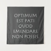 Optimum est pati quod emendare non posare wandkleed (Voorkant)