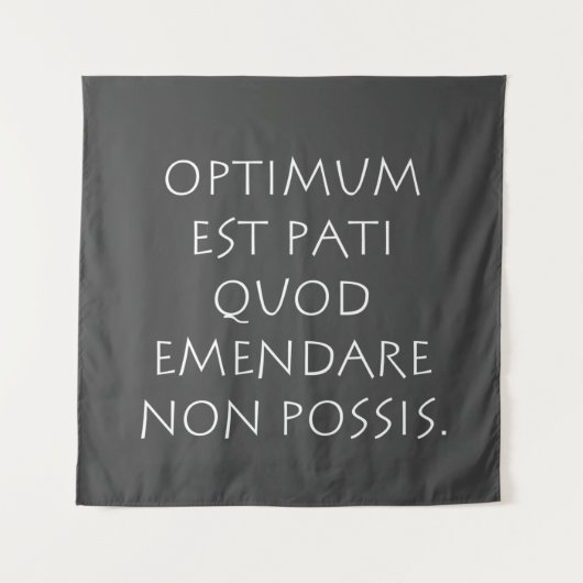 Optimum est pati quod emendare non posare wandkleed (Voorkant)
