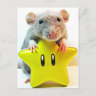 Optimus Star Briefkaart