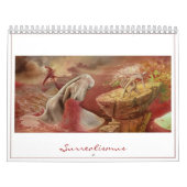 Optisch-optische illusies kalender (Hoes)