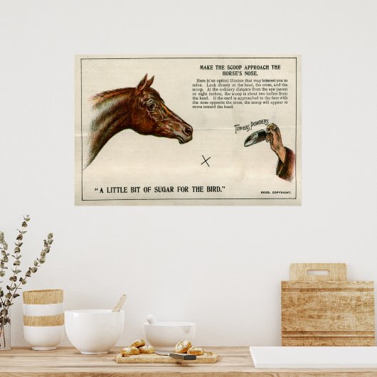 Optische illusie 1896 poster (Keuken)