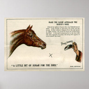 Optische illusie 1896 poster