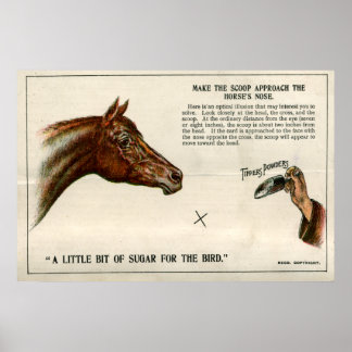 Optische illusie 1896 poster