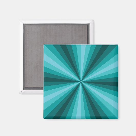 Optische Illusie Aqua Magneet (Voorkant / Achterkant)