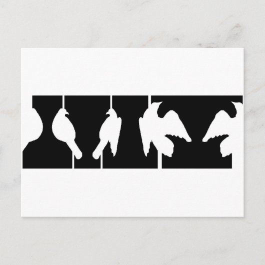 Optische illusie van sturen of vliegende vogels briefkaart (Voorkant)