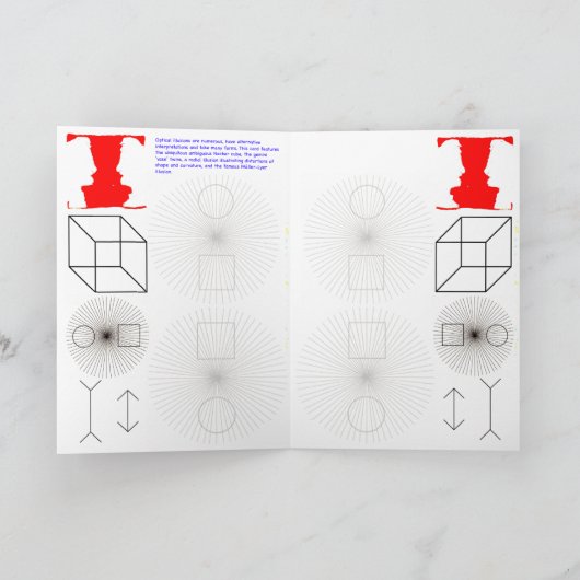 optische illusies van filosofen - kaart (Binnen)