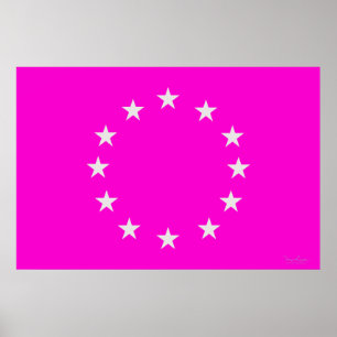 Optische verlichting vlag - EU Poster