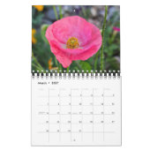Optocht van papavers kalender (Mar 2027)