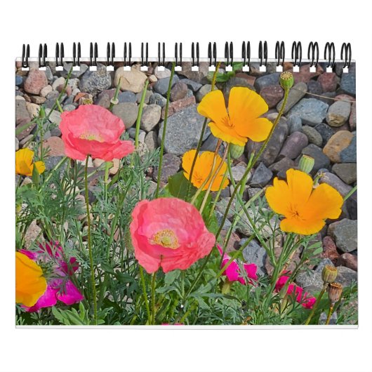 Optocht van papavers kalender (Hoes)