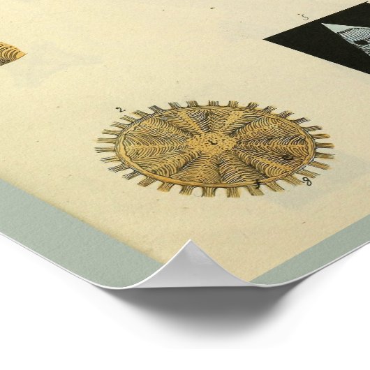 Optometrie Ooganatomie Medische kunst Afdrukken Poster (Hoek)