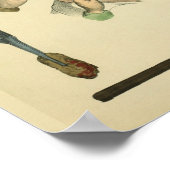 Optometrie Oogchirurgie Medische kunst Afdrukken Poster (Hoek)